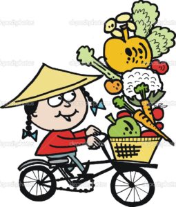 bicicleta-verduras